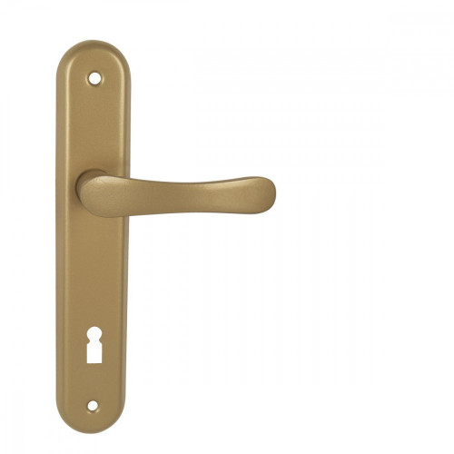 KE - MICHAELA - SO Zlatá matná