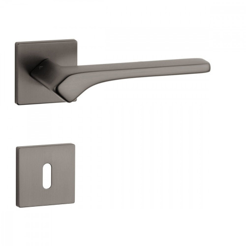 AS - BERGENIA - HR 7S Grafit matný