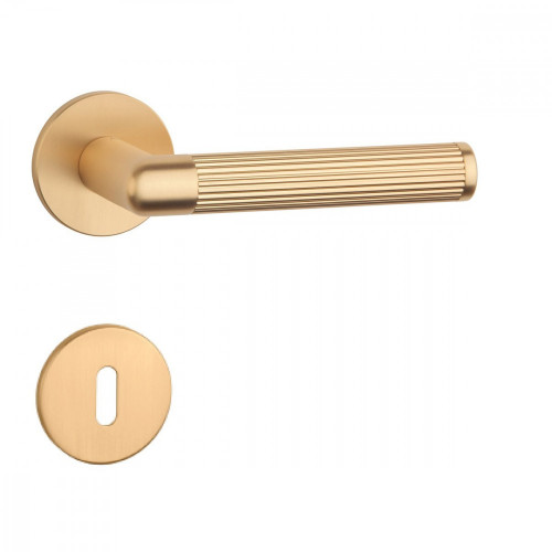 AS - LOBELIA - R 5S Zlatá matná