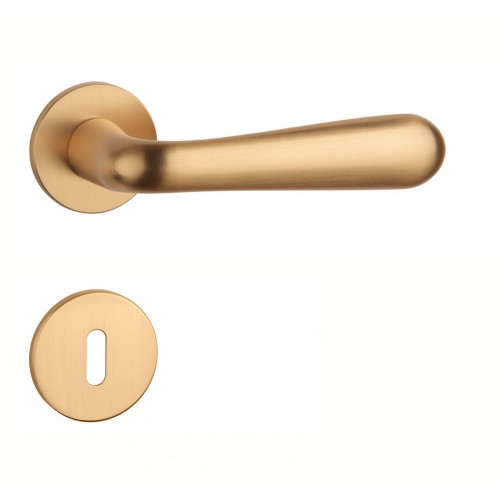 AS - GARDENIA - R 5S Zlatá matná