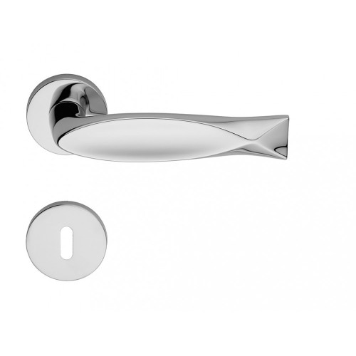 LI - FISH 602 - R R023
