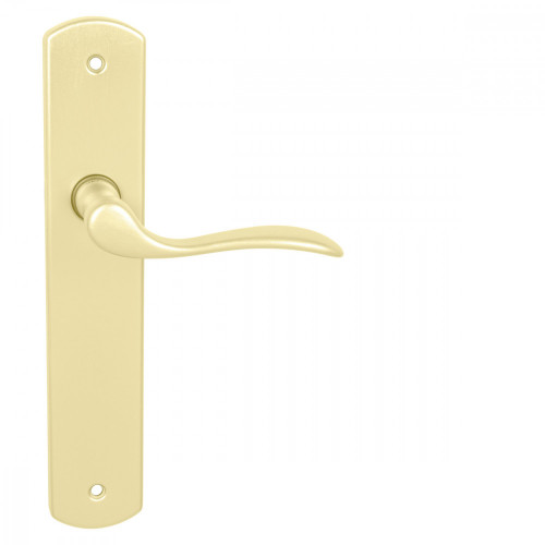 UC - MINA - VS Zlatá matná